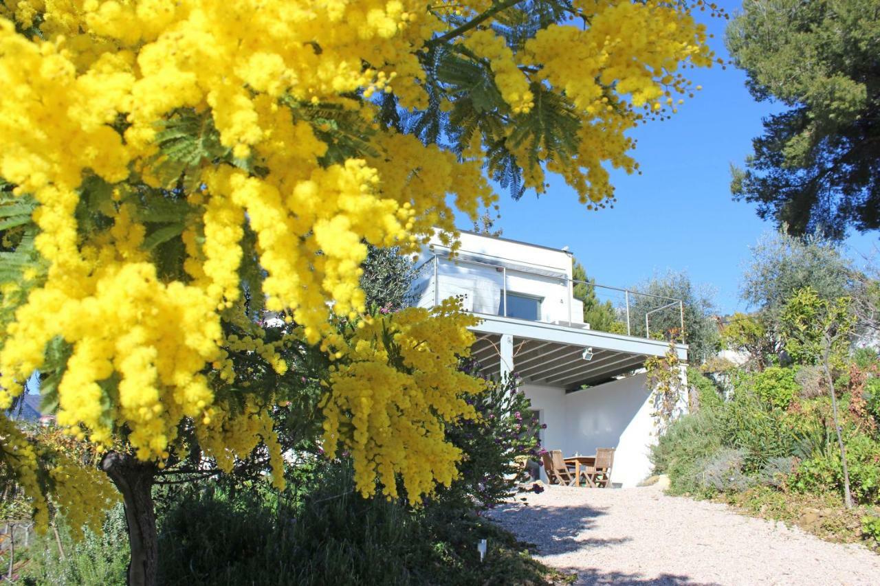 456 Chemin De La Pinede Apartment Menton Luaran gambar